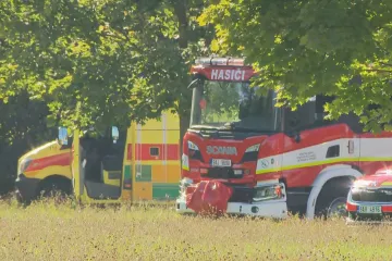 V pražských Letňanech spadlo do lesoparku malé letadlo