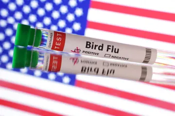 Ptačí chřipkou H5N1 se nakazilo šest Američanů, kteří vybíjeli infikovanou drůbež