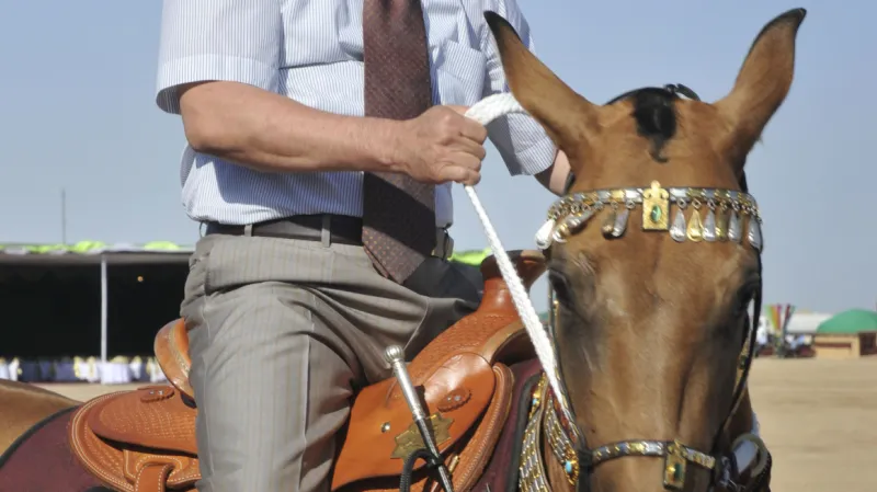 Turkmenský prezident