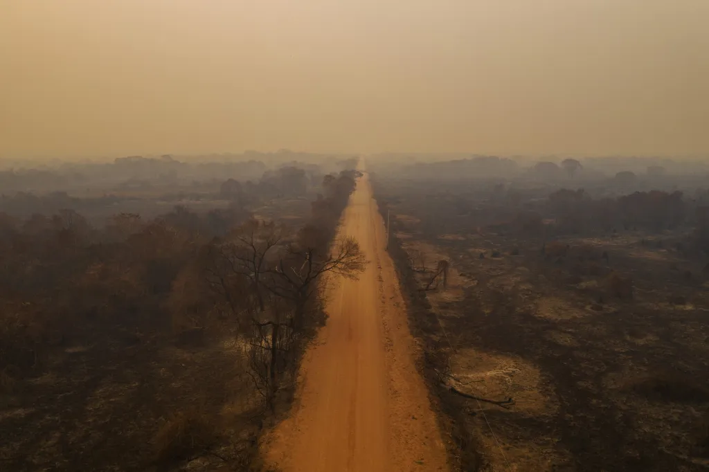 Nominace v sekci Životní prostředí: Lalo de Almeida se sérií snímků Pantanal Ablaze (Pantanal hoří)