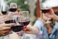 Rozhodnutí o zdanění tichého vína padne později. Do pracovní skupiny zamíří další podnikatelé