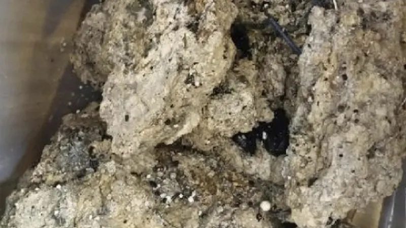 Tuková usazenina má hmotnost kolem 130 tun