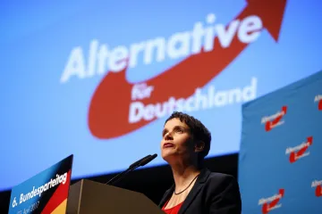 Čeští politici si všímají výrazného zisku AfD