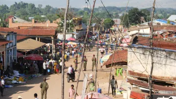 Ruzizi Plains v Kongu