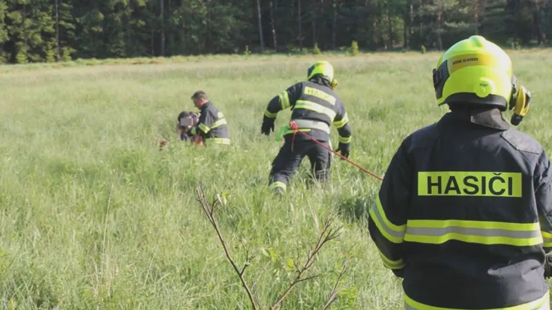 Záchrana dívky uvázlé v rašeliništi