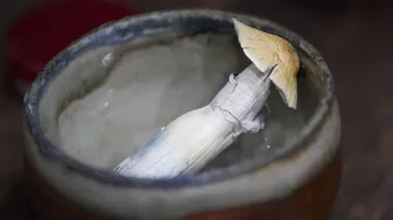 Psychedelika pomáhají lidem s depresí