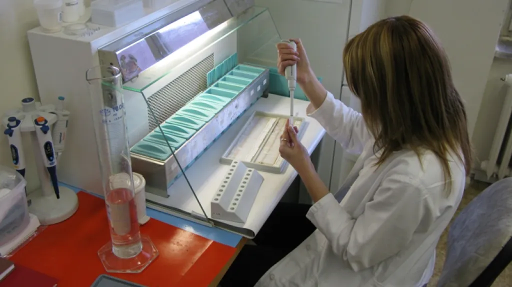 Vědci testují metody, jak odhalit přídavky v masných výrobcích