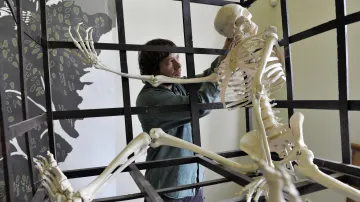 Expedice středověk