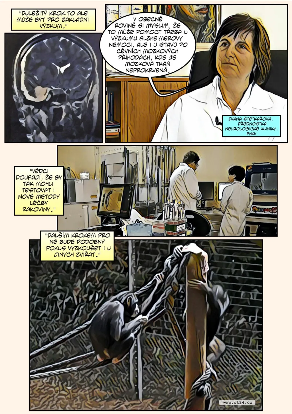 Komiks: Vědci oživili mozky