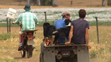 Australští farmáři