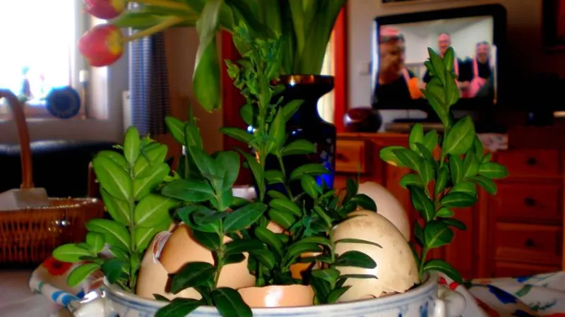 Velikonoce v Košticích