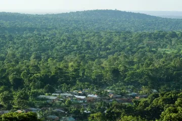 Africké pralesy přestaly zachytávat uhlík, teď ho naopak produkují