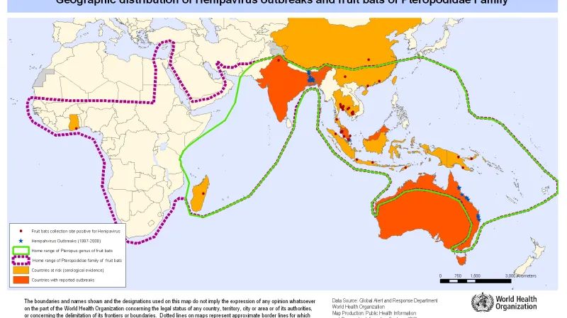 Riziko šíření viru nipah