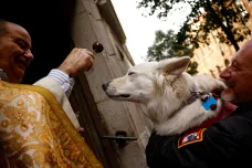 Zvířata zavítala do španělských kostelů, kde jim požehnali