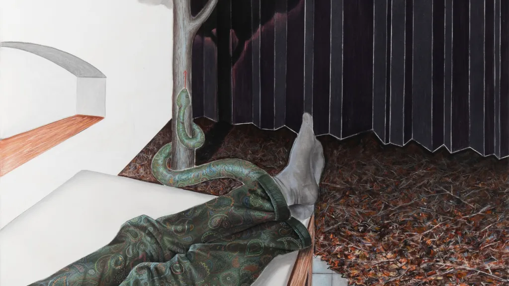 Z výstavy Karolíny Netolické Blízkost v dáli