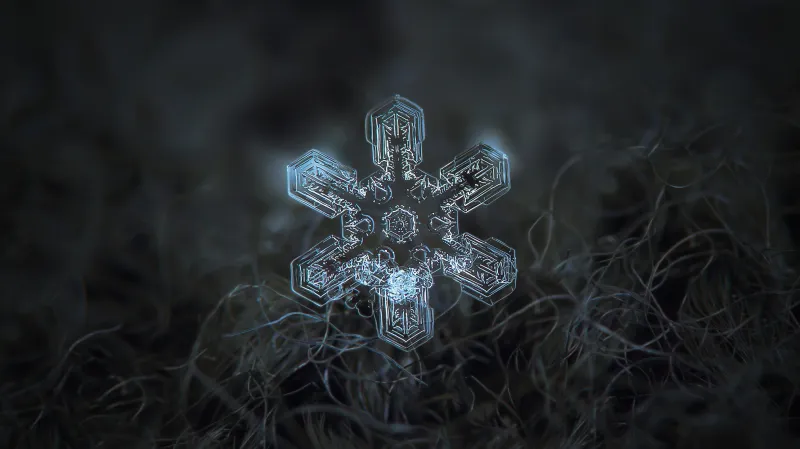 Velká galerie sněhových vloček