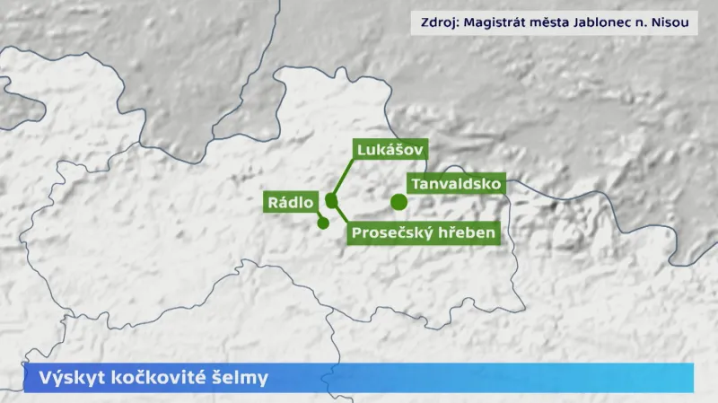 Výskyt kočkovité šelmy