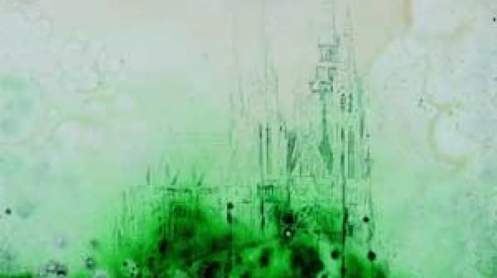 Jan Pištěk / Prag-ha (2009)