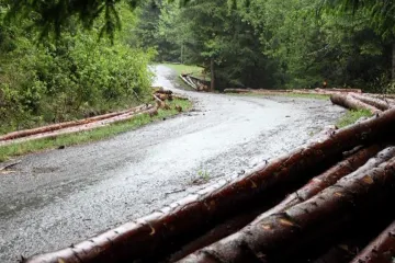Přes můj pozemek vede silnice, můžu začít vybírat mýtné?