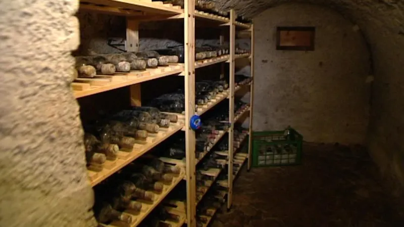 Stoletá vína z Bečova