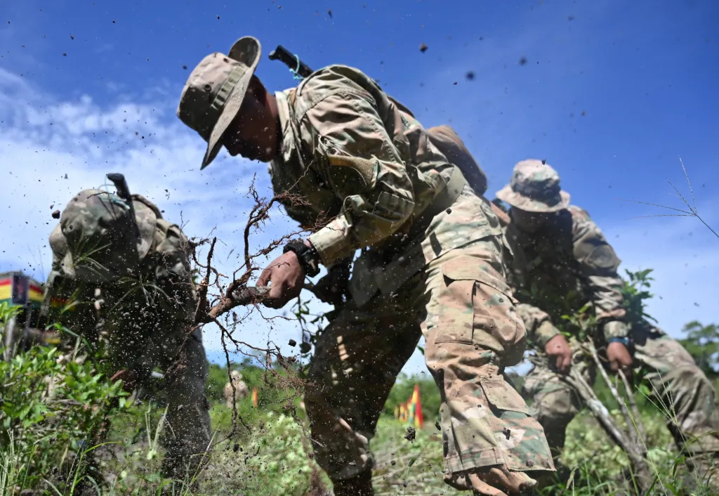 Bolivijští vojáci ničí rostliny koky