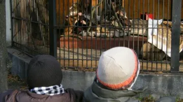 Neandrtálci v zoo ve Varšavě