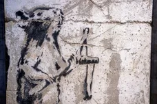 Banksyho krysa s prakem zmizela před několika lety z Palestiny, teď se vynořila v Izraeli