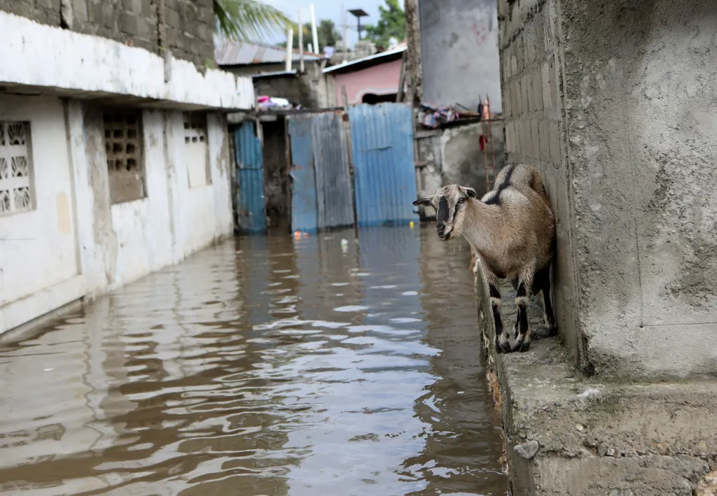 Povodně na Haiti zasáhly města i vesnice. Tisíce lidí musely být evakuovány