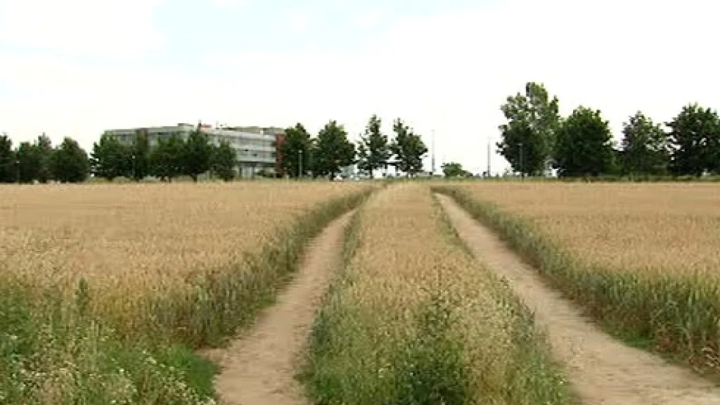 Polní cesta