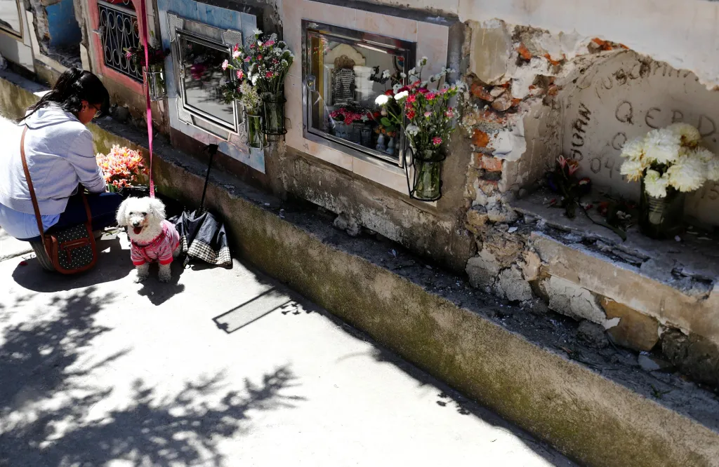 Připomínky mrtvých jsou zaznamenány už v dobách Aztéků. S příchodem křesťanské civilizace došlo ke sjednocení formy oslav i symboliky.