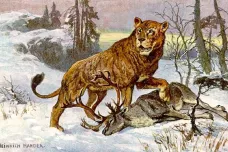 Největší lvi na Zemi žili na území dnešní Ukrajiny, ukázala studie