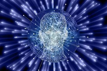 Lidský mozek možná pracuje jako kvantový počítač, naznačuje nový výzkum