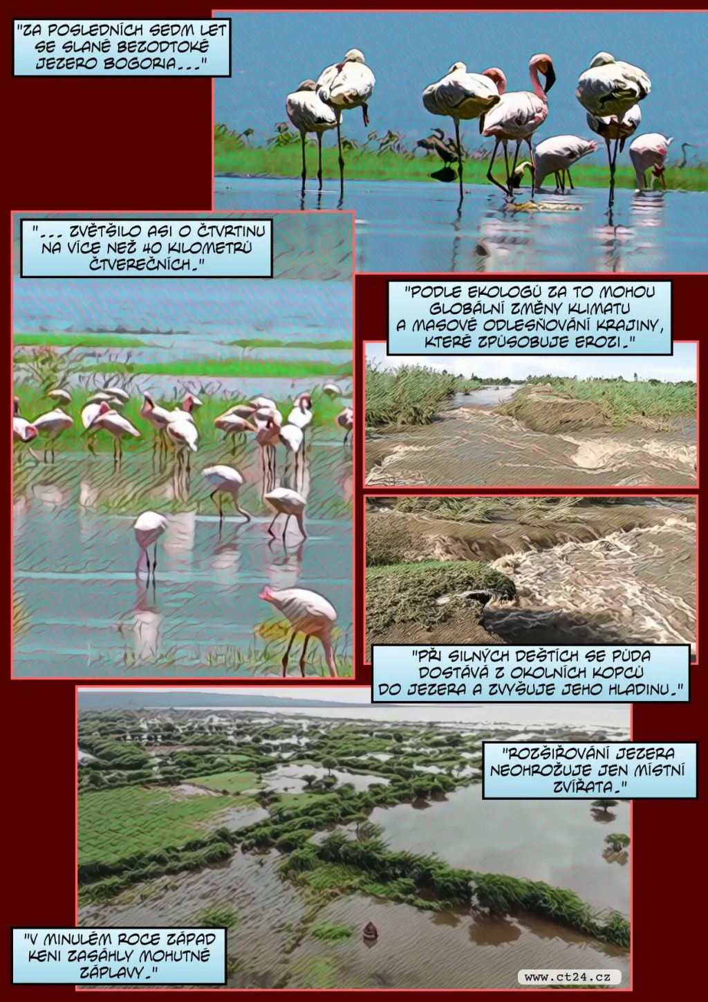 Nové nebezpečí pro plameňáky