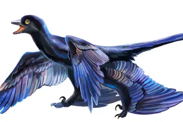 Věda popsala první případ, kdy si dinosaurus pochutnal na savci
