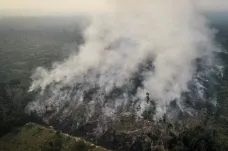 Expert k Amazonii: 70 tisíc požárů je za posledních 20 let průměr, přírodní jevy se účelově využívají