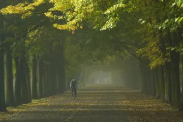 Restartujeme sebe sama