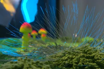 Na Bratislavském hradě se utkaly textilie s uměním