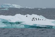 Na vrcholu zimy ubývá v Antarktidě led. Chybí už množství o velikosti Argentiny