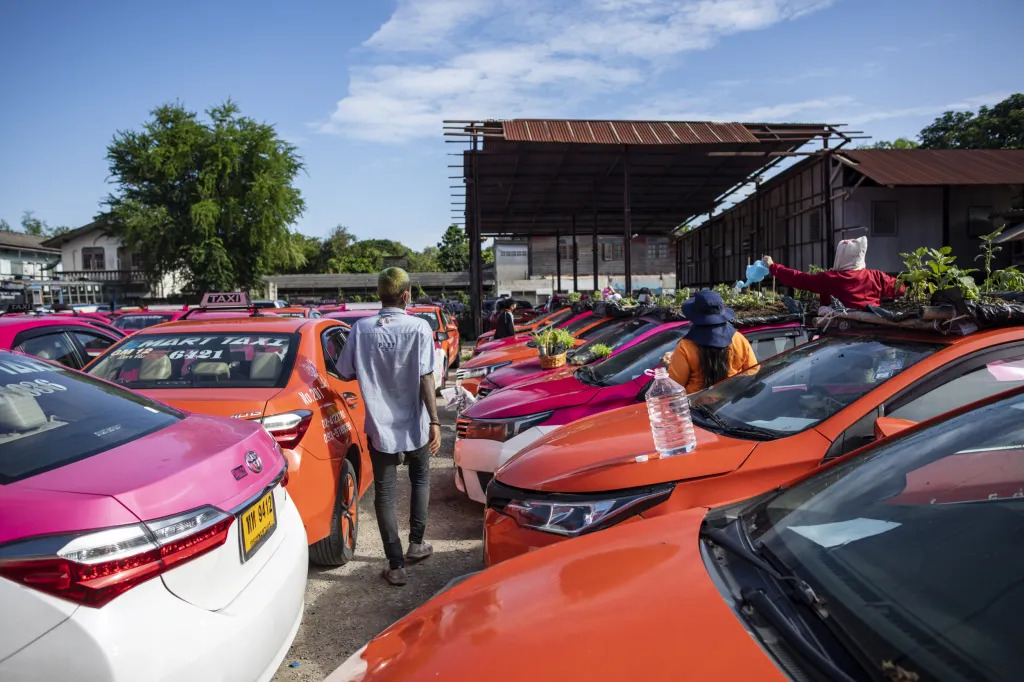 Zaměstnanci  zkrachovalé taxi služby v Bangkoku pěstují zeleninu na střechách aut. Auta využívají jako skleníky, které růst zeleniny urychlují