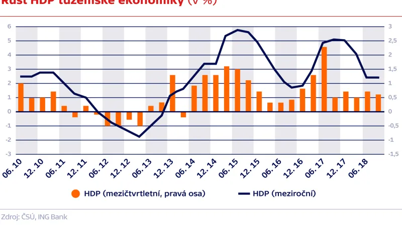 Růst HDP tuzemské ekonomiky