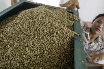 Covid zdražuje kávu, ve Vietnamu k tomu přispívají protiepidemická opatření