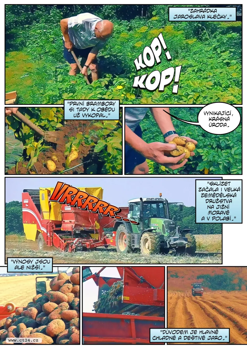 Začala sklizeň raných brambor, úroda je podprůměrná