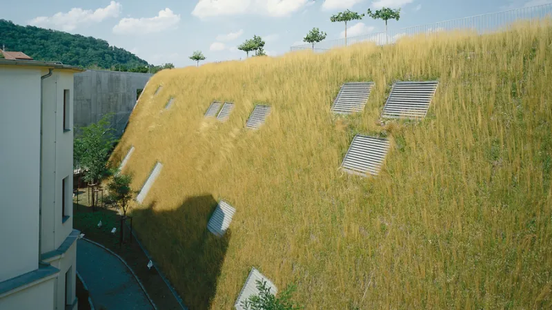 V trávníku a na terase jsou v železobetonových kontejnerech skrytých ve střešní konstrukci vysázeny stříhané deštníkovité platany. Nahodilost jejich rozmístění připomíná savanu. Na příkré části střechy se daří především pažitce, což sice nebylo původním záměrem, ale stalo se charakteristickým prvkem projektu.