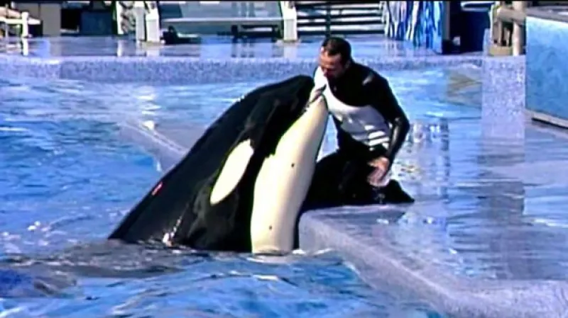 Velryby žalují zábavní park