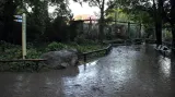 Voda v pražské zoo opadává (5.6.2013)