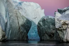 Když se za poslední doby ledové oteplilo u Grónska, pocítil to celý svět