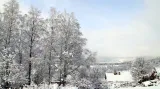 Sníh na Šumavě