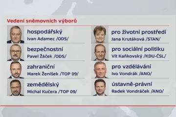 Vondráček povede sněmovní ústavně-právní výbor. Předsedy si zvolily i další