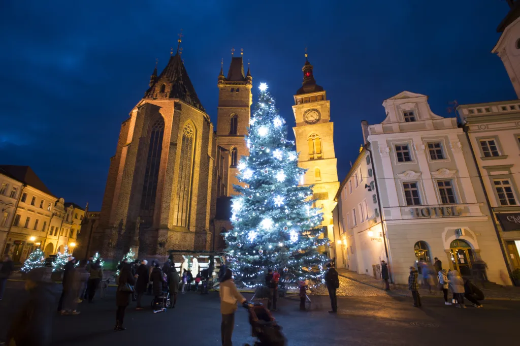 V Hradci Králové se rozsvítil vánoční strom na Velkém náměstí před katedrálou svatého Ducha