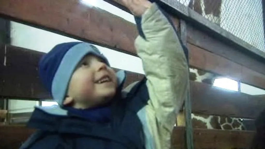 Děti v zoo